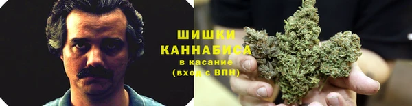 мяу мяу мука Алзамай