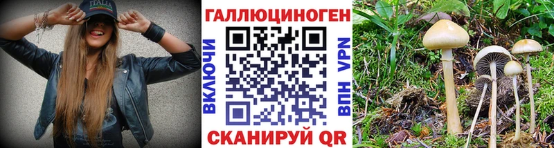 Псилоцибиновые грибы GOLDEN TEACHER  darknet формула  Истра 